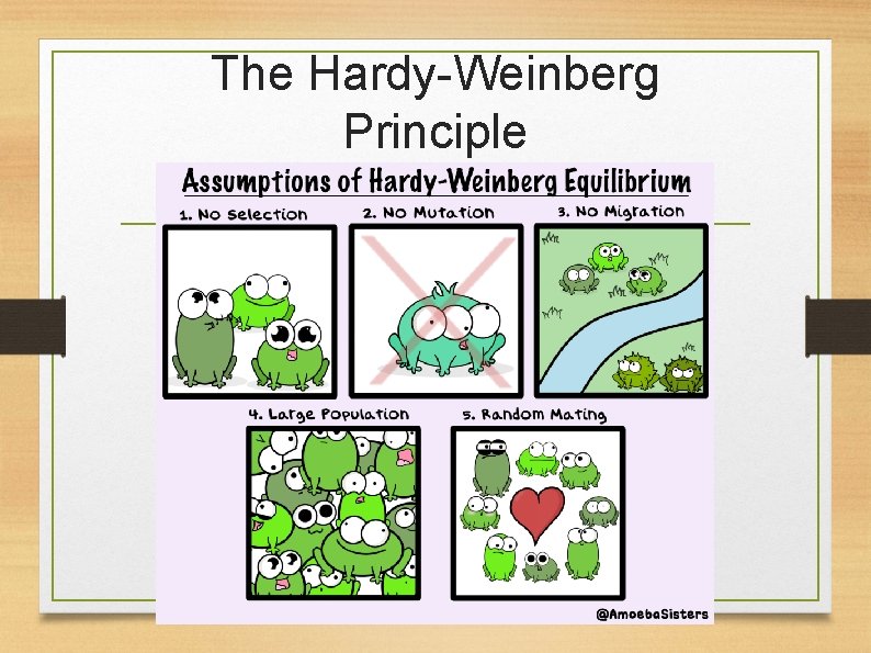 The Hardy-Weinberg Principle 