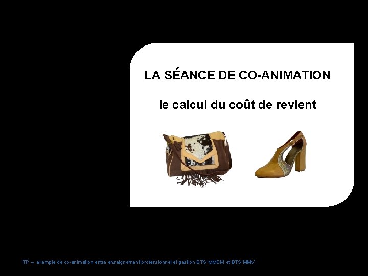 LA SÉANCE DE CO-ANIMATION le calcul du coût de revient BTS MMCM TP –