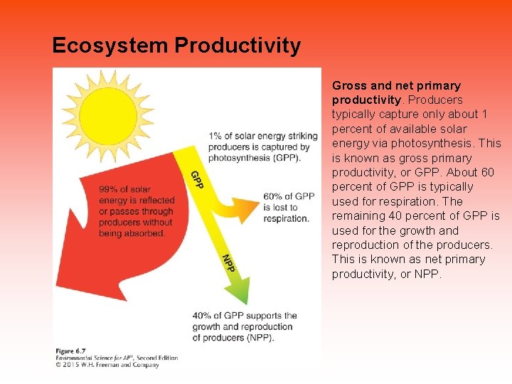 Ecosystem Productivity Gross and net primary productivity. Producers typically capture only about 1 percent