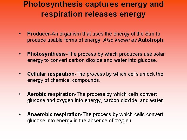 Photosynthesis captures energy and respiration releases energy • Producer-An organism that uses the energy