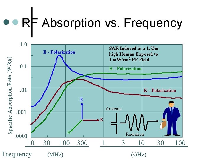 RF Absorption vs. Frequency 1. 0 SAR Induced in a 1. 75 m high