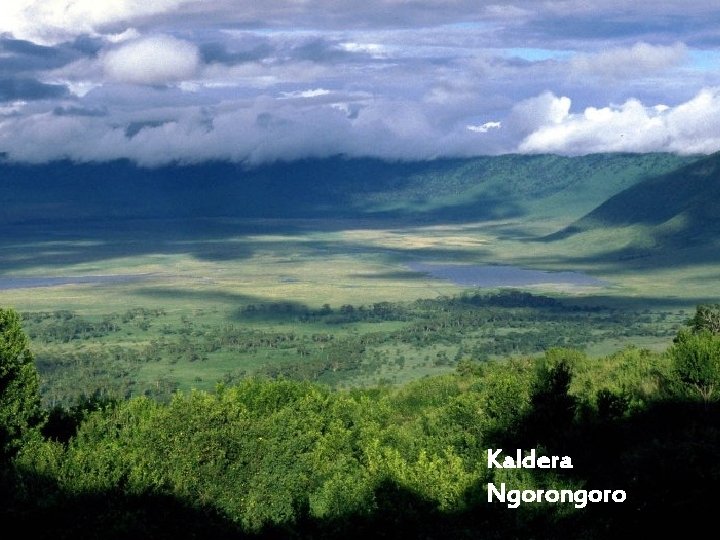 Kaldera Ngorongoro 