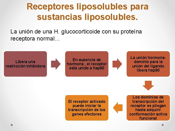 Receptores liposolubles para sustancias liposolubles. La unión de una H. glucocorticoide con su proteína