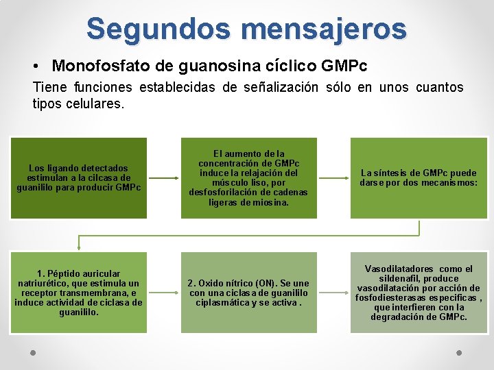 Segundos mensajeros • Monofosfato de guanosina cíclico GMPc Tiene funciones establecidas de señalización sólo