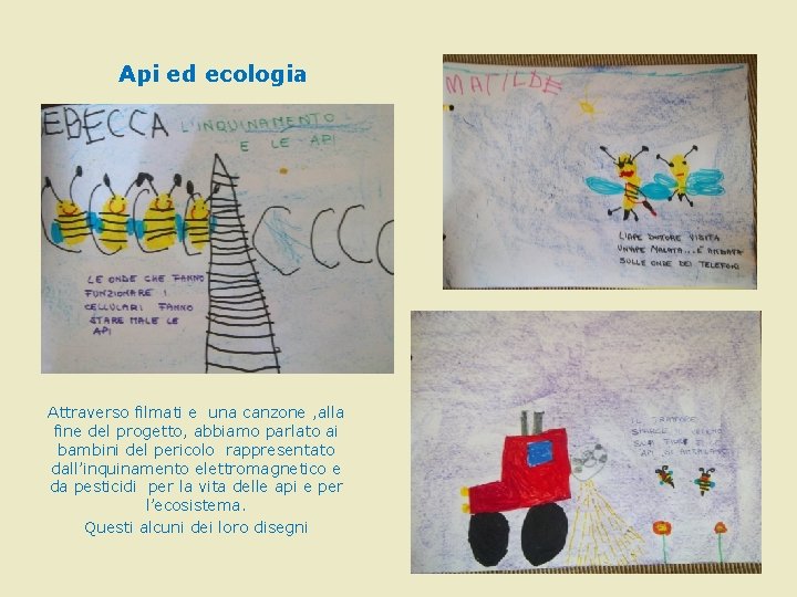 Api ed ecologia Attraverso filmati e una canzone , alla fine del progetto, abbiamo Api ed ecologia Attraverso filmati e una canzone , alla fine del progetto, abbiamo