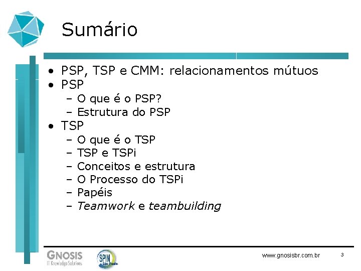 Sumário • PSP, TSP e CMM: relacionamentos mútuos • PSP – O que é