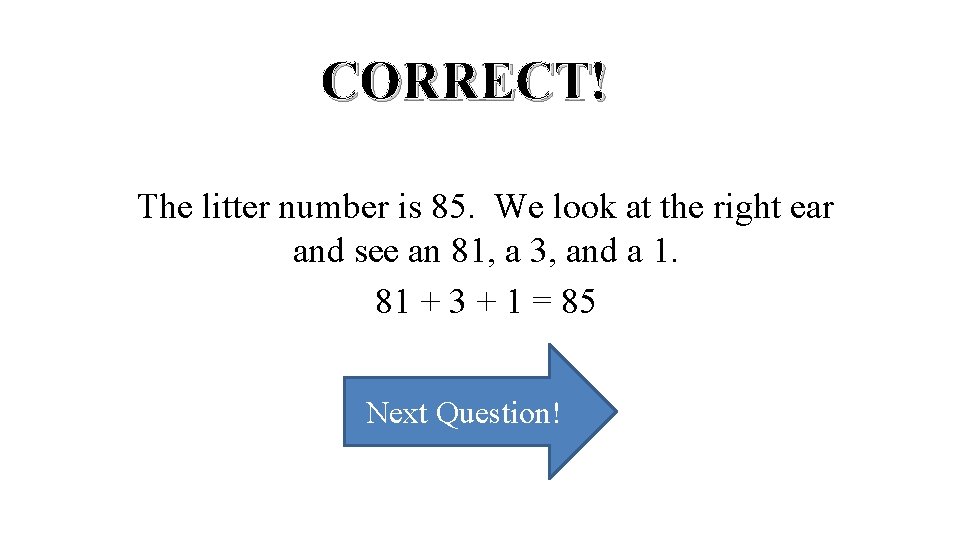 CORRECT! The litter number is 85. We look at the right ear and see