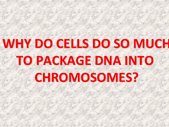 WHY DO CELLS DO SO MUCH TO PACKAGE DNA INTO CHROMOSOMES? WHY DO CELLS DO SO MUCH TO PACKAGE DNA INTO CHROMOSOMES?