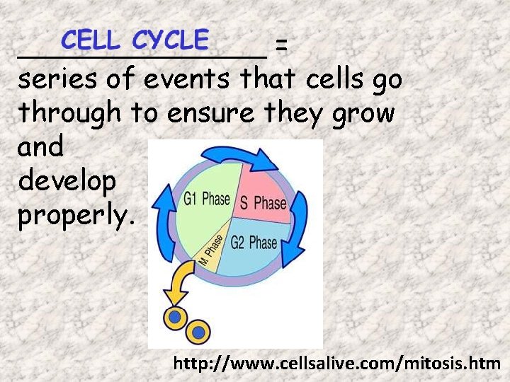 _______ = series of events that cells go through to ensure they grow and _______ = series of events that cells go through to ensure they grow and