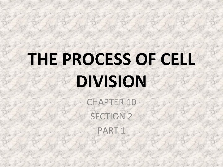 THE PROCESS OF CELL DIVISION CHAPTER 10 SECTION 2 PART 1 THE PROCESS OF CELL DIVISION CHAPTER 10 SECTION 2 PART 1