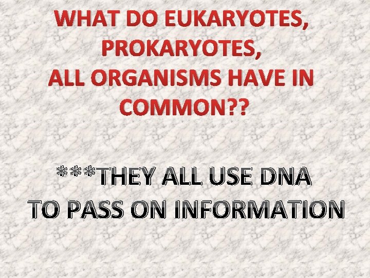 WHAT DO EUKARYOTES, PROKARYOTES, ALL ORGANISMS HAVE IN COMMON? ? ***THEY ALL USE DNA WHAT DO EUKARYOTES, PROKARYOTES, ALL ORGANISMS HAVE IN COMMON? ? ***THEY ALL USE DNA