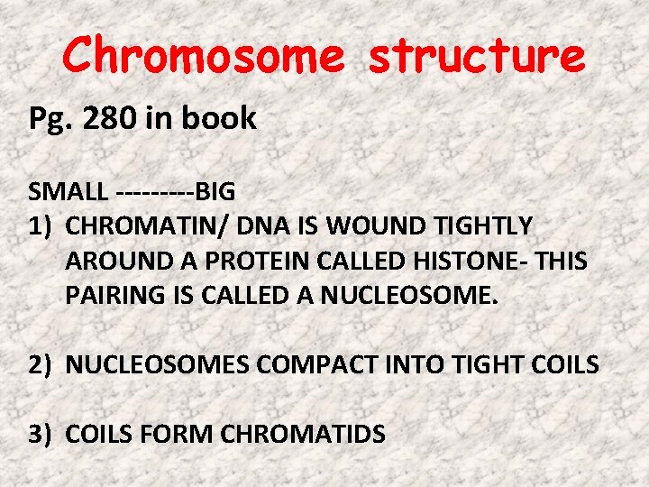 Chromosome structure Pg. 280 in book SMALL -----BIG 1) CHROMATIN/ DNA IS WOUND TIGHTLY Chromosome structure Pg. 280 in book SMALL -----BIG 1) CHROMATIN/ DNA IS WOUND TIGHTLY