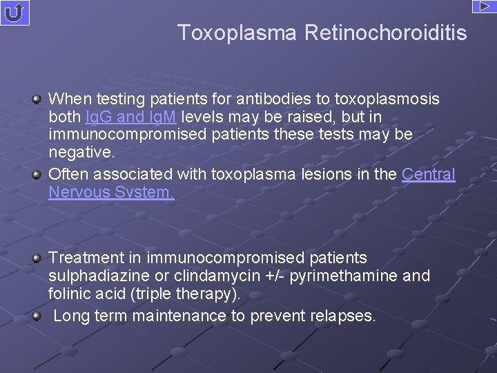 Toxoplasma Retinochoroiditis When testing patients for antibodies to toxoplasmosis both Ig. G and Ig.