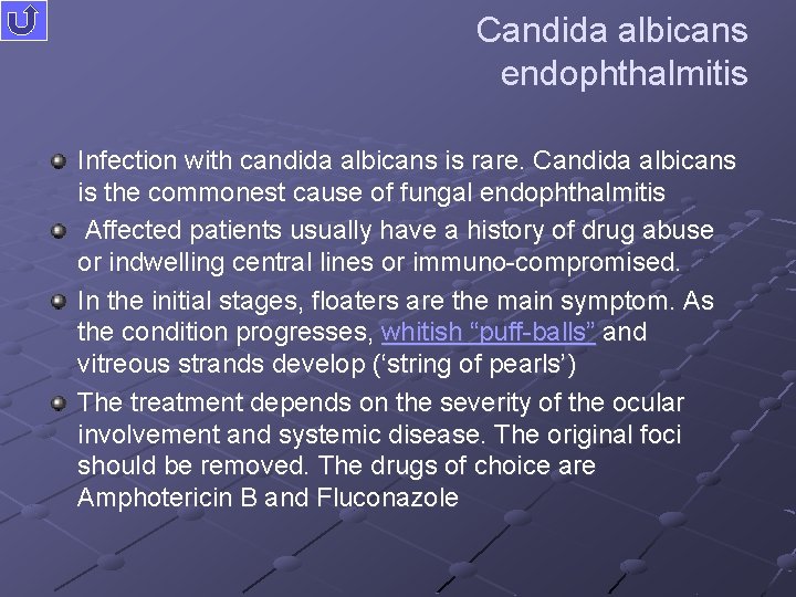 Candida albicans endophthalmitis Infection with candida albicans is rare. Candida albicans is the commonest