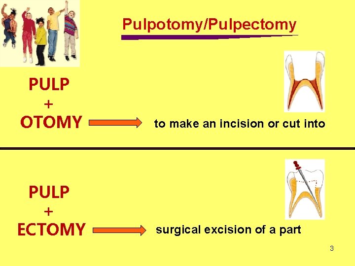 Pulpotomy/Pulpectomy PULP + OTOMY to make an incision or cut into PULP + ECTOMY Pulpotomy/Pulpectomy PULP + OTOMY to make an incision or cut into PULP + ECTOMY