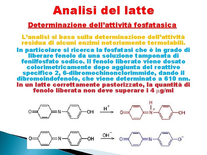 Analisi del latte Determinazione dell’attività fosfatasica L’analisi si basa sulla determinazione dell’attività residua di