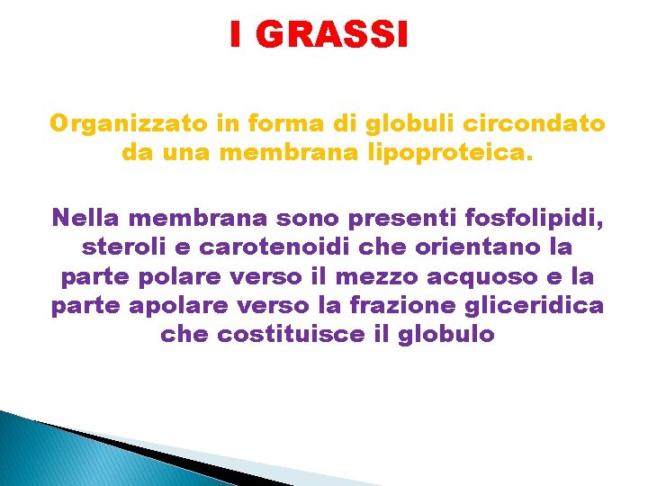 I GRASSI Organizzato in forma di globuli circondato da una membrana lipoproteica. Nella membrana
