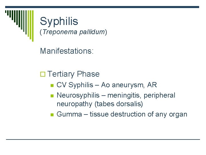 Syphilis (Treponema pallidum) Manifestations: o Tertiary Phase n n n CV Syphilis – Ao