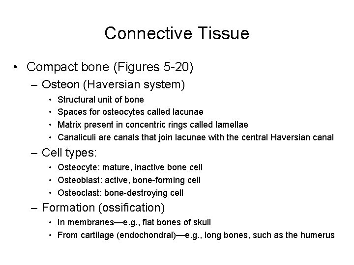 Connective Tissue • Compact bone (Figures 5 -20) – Osteon (Haversian system) • •