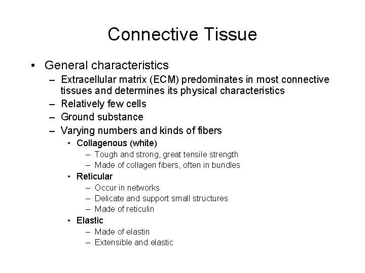 Connective Tissue • General characteristics – Extracellular matrix (ECM) predominates in most connective tissues