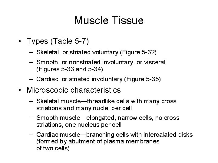 Muscle Tissue • Types (Table 5 -7) – Skeletal, or striated voluntary (Figure 5