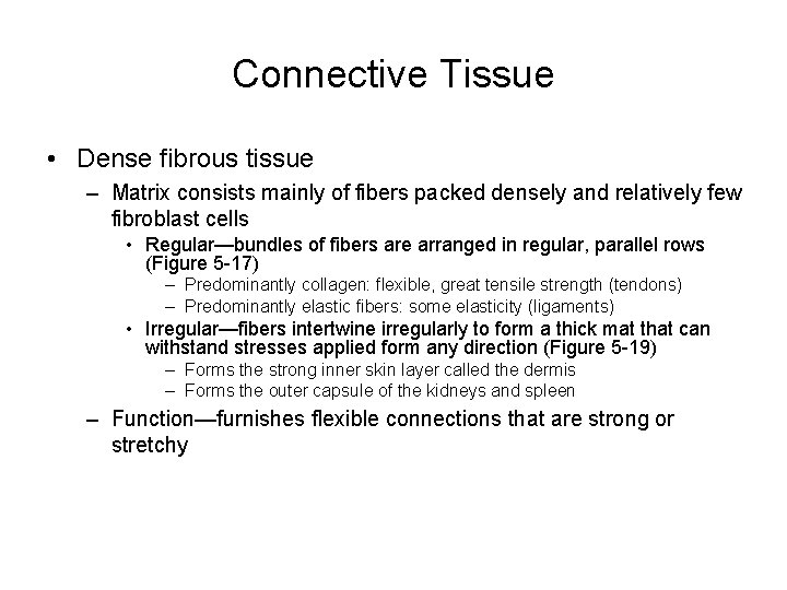 Connective Tissue • Dense fibrous tissue – Matrix consists mainly of fibers packed densely