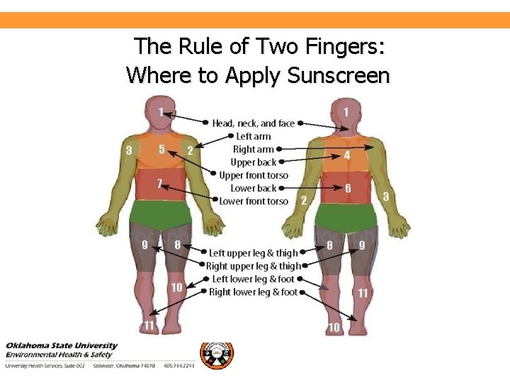 The Rule of Two Fingers: Where to Apply Sunscreen Environmental Health and Safety 