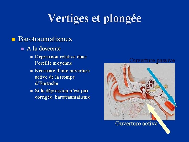 Vertiges et plongée n Barotraumatismes n A la descente n n n Dépression relative