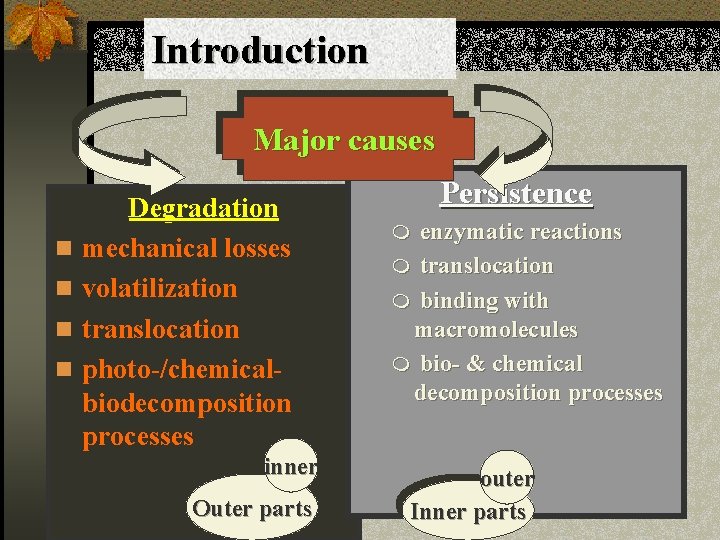 Introduction Major causes Degradation n mechanical losses n volatilization n translocation n photo-/chemical- biodecomposition