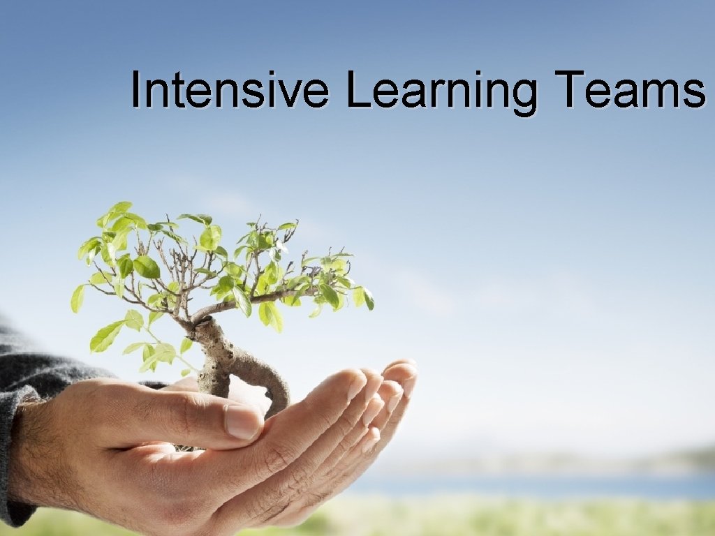 Intensive Learning Teams 