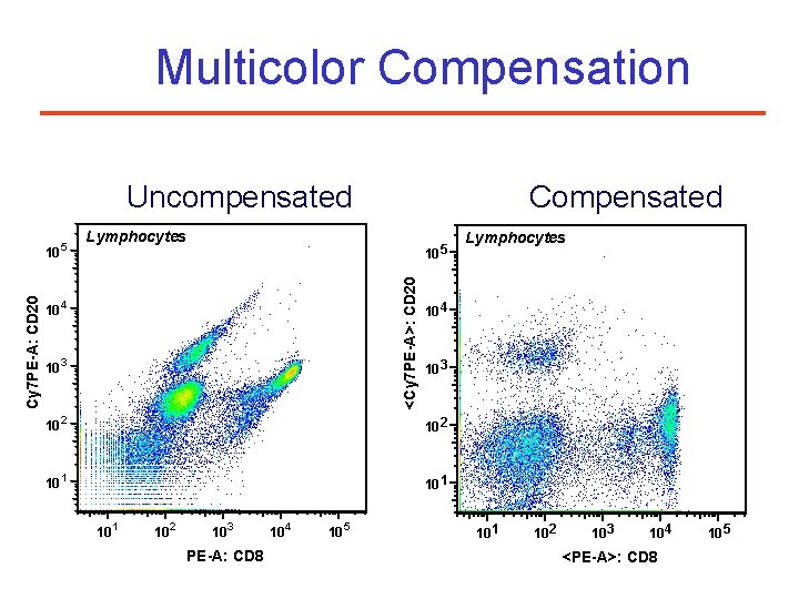 Multicolor Compensation Uncompensated Lymphocytes 10 5 <Cy 7 PE-A>: CD 20 Cy 7 PE-A: