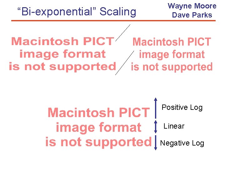 “Bi-exponential” Scaling Wayne Moore Dave Parks Positive Log Linear Negative Log 