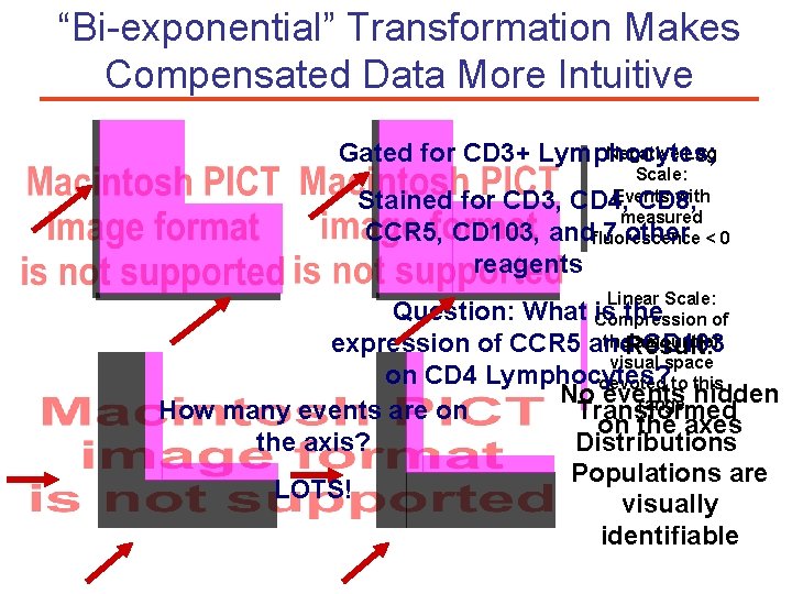 “Bi-exponential” Transformation Makes Compensated Data More Intuitive Negative Log Gated for CD 3+ Lymphocytes;