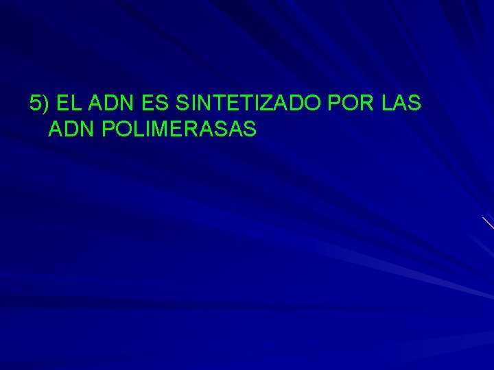 5) EL ADN ES SINTETIZADO POR LAS ADN POLIMERASAS 