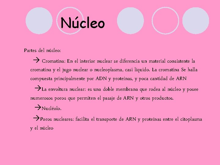 Núcleo Partes del núcleo: Cromatina: En el interior nuclear se diferencia un material consistente