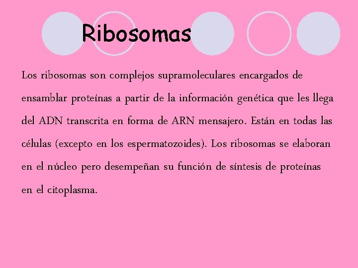 Ribosomas Los ribosomas son complejos supramoleculares encargados de ensamblar proteínas a partir de la