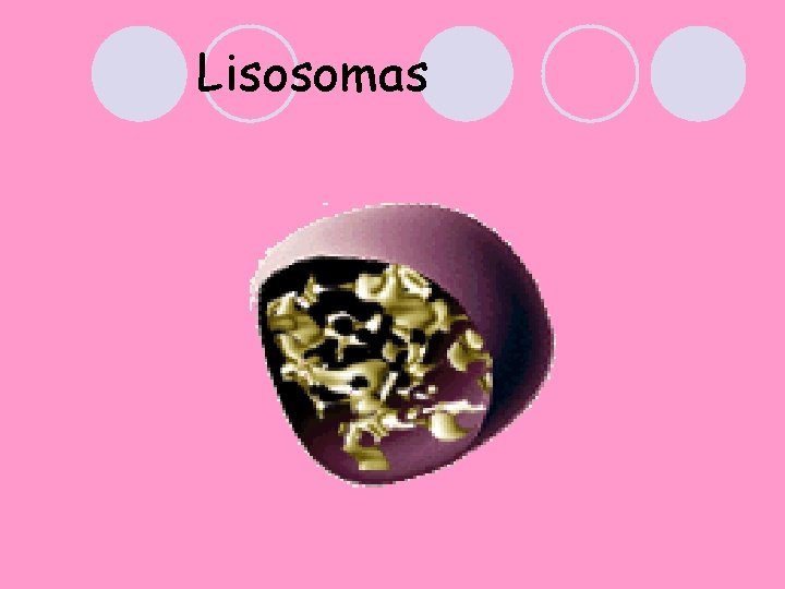 Lisosomas 