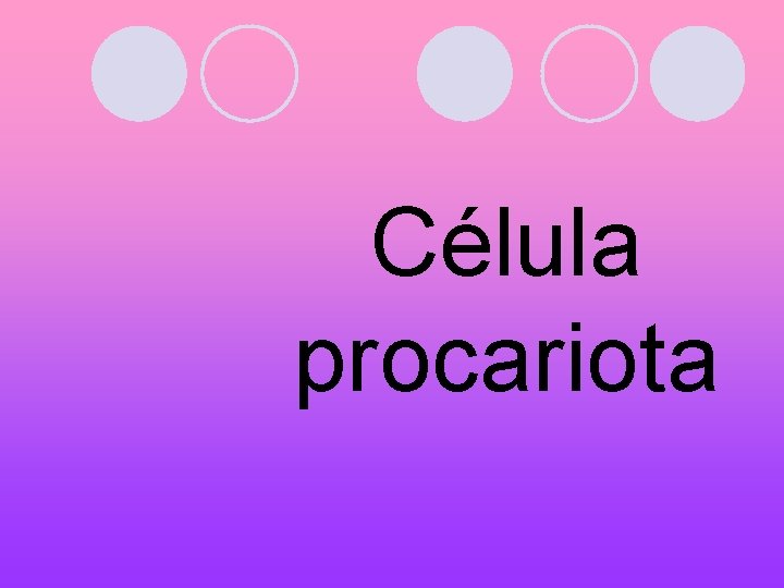 Célula procariota 