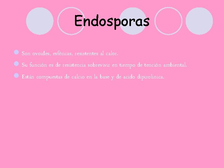 Endosporas l Son ovoides, esféricas, resistentes al calor. l Su función es de resistencia