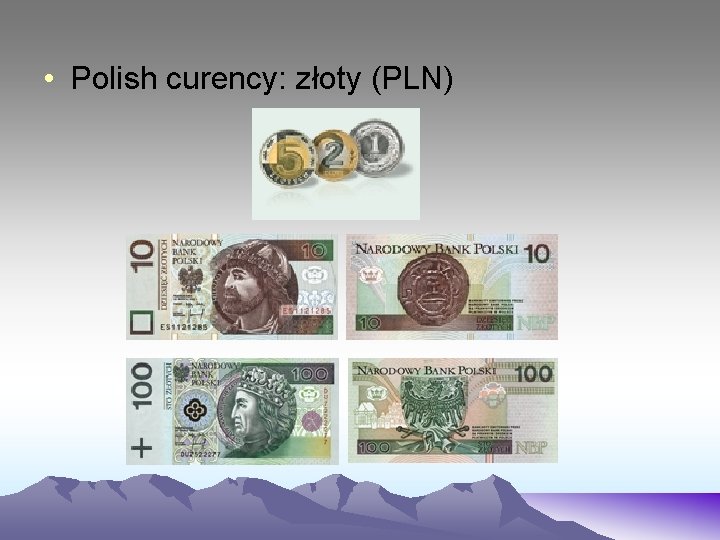  • Polish curency: złoty (PLN) 