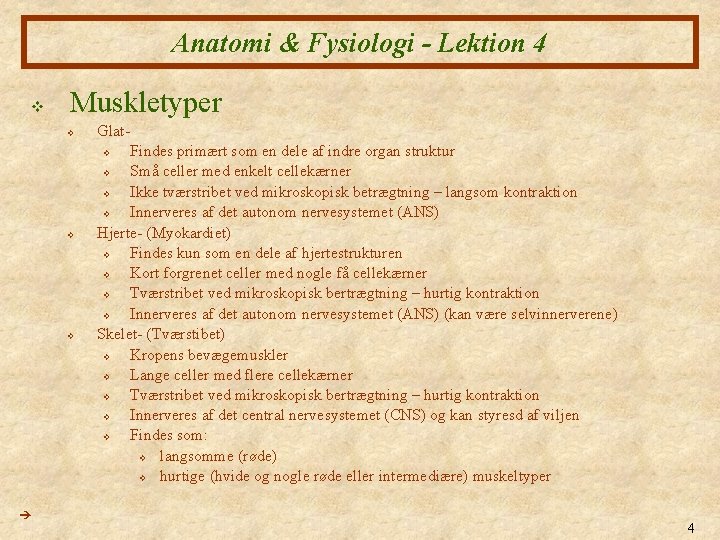 Anatomi & Fysiologi - Lektion 4 v Muskletyper v Glat. Findes primært som en