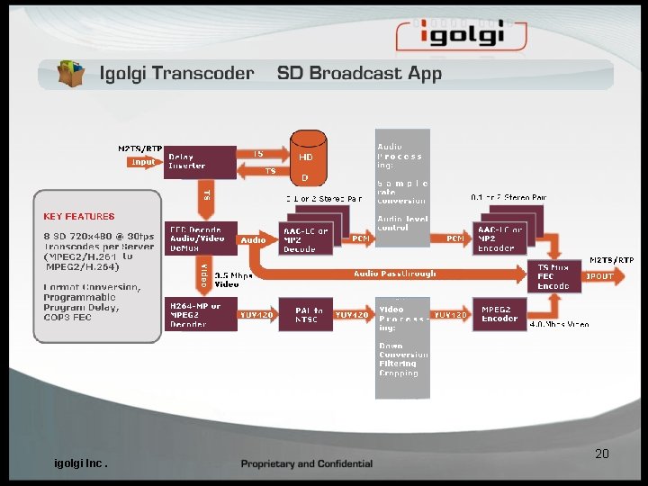 igolgi Inc. 20 igolgi Inc. 20