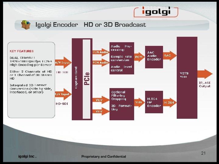 igolgi Inc. 21 igolgi Inc. 21