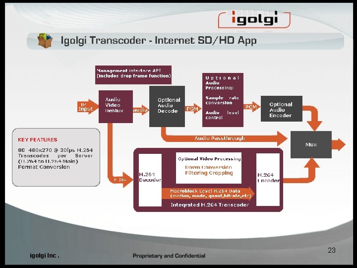 igolgi Inc. 23 igolgi Inc. 23