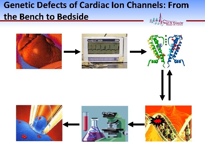 Genetic Defects of Cardiac Ion Channels: From the Bench to Bedside 