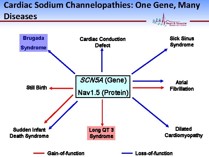Cardiac Sodium Channelopathies: One Gene, Many Diseases Brugada Cardiac Conduction Defect Syndrome SCN 5
