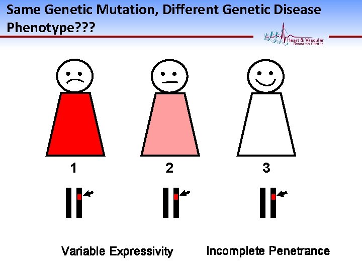Same Genetic Mutation, Different Genetic Disease Phenotype? ? ? 1 2 Variable Expressivity 3