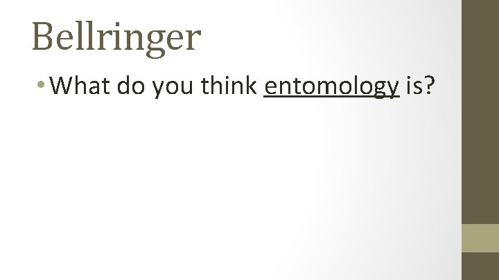 Bellringer • What do you think entomology is? 