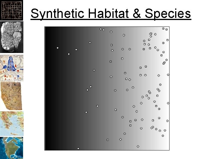 Synthetic Habitat & Species 