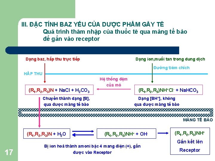 III. ĐẶC TÍNH BAZ YẾU CỦA DƯỢC PHẨM G Y TÊ Quá trình thâm